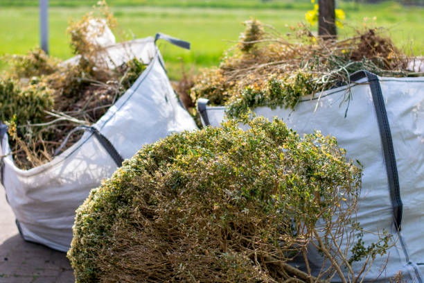Best Residential Junk Removal  in Mountain Iron, MN